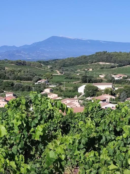 Maison De Village Châteauneuf-du-Pape 외부 사진